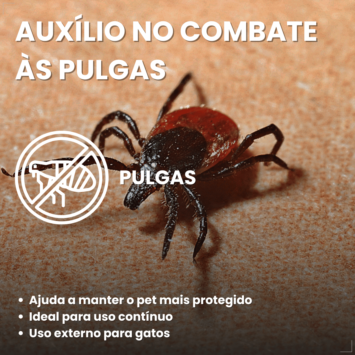 Coleira Para Gato Antipulga 36cm Free Cat Cor Vermelho