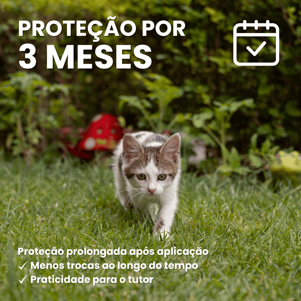Coleira Para Gato Antipulga 36cm Free Cat Cor Vermelho