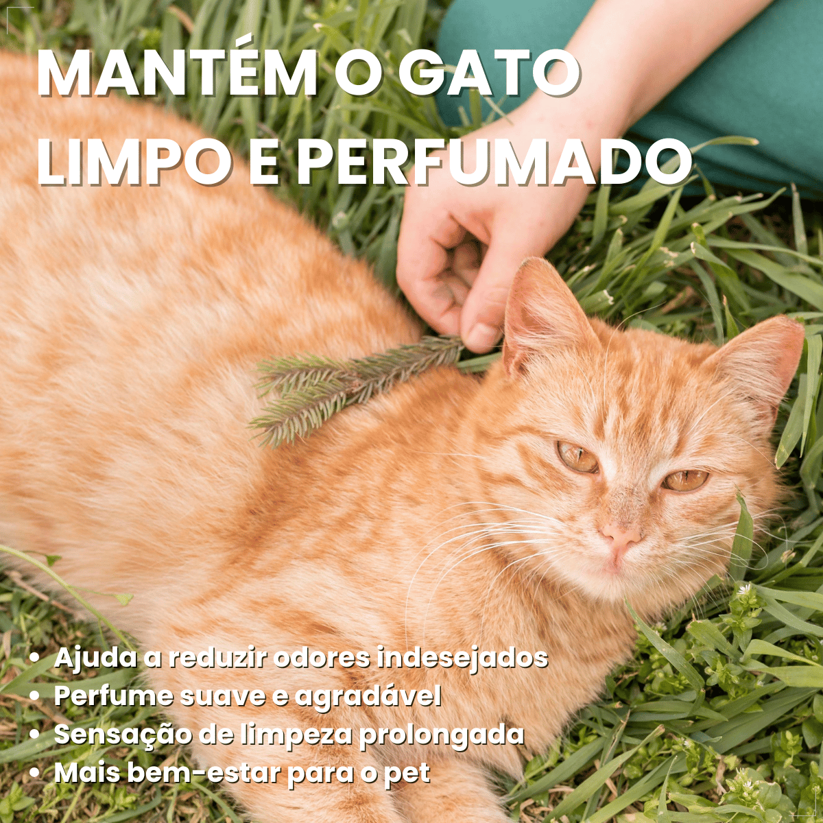 Coleira Para Gato Antipulga 36cm Free Cat Cor Vermelho