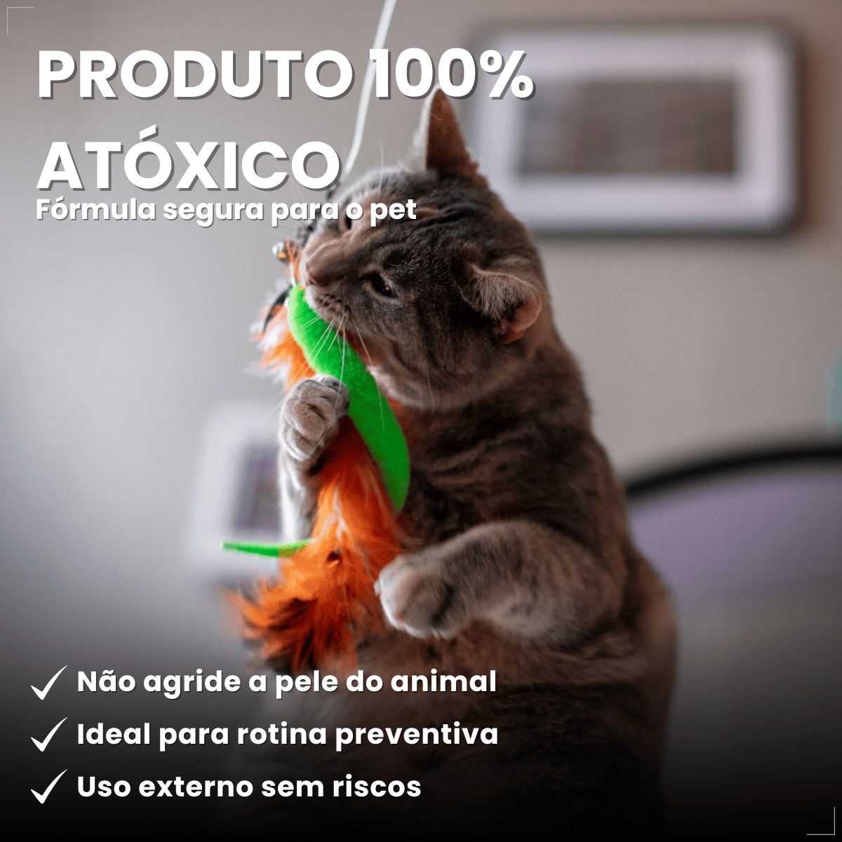 Coleira Para Gato Antipulga 36cm Free Cat Cor Vermelho