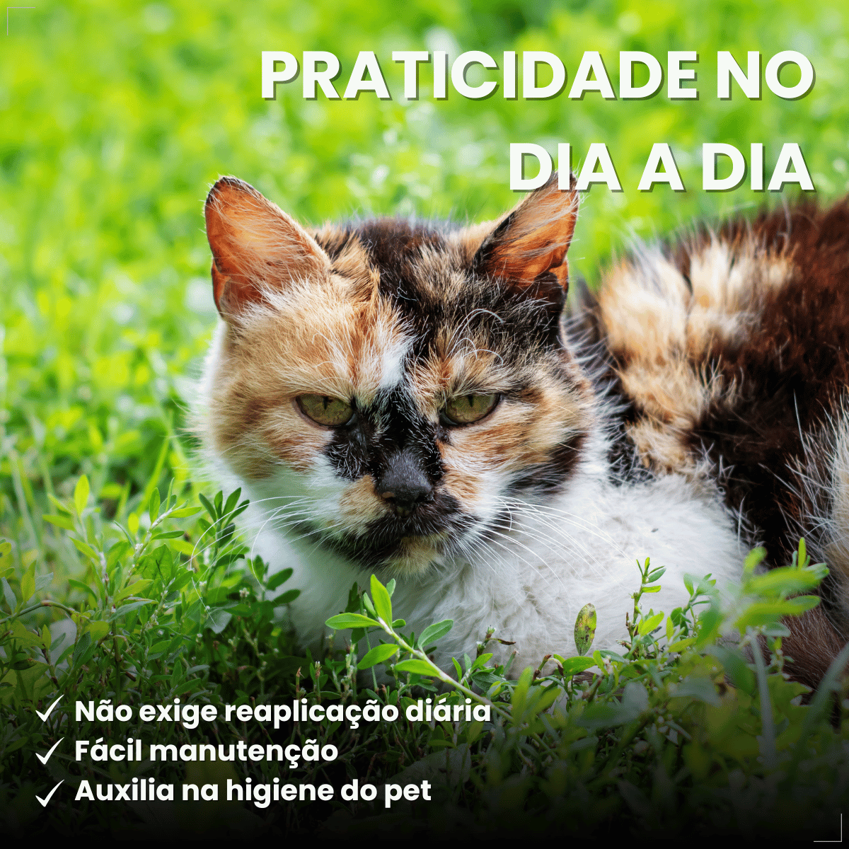 Coleira Para Gato Antipulga 36cm Free Cat Cor Vermelho