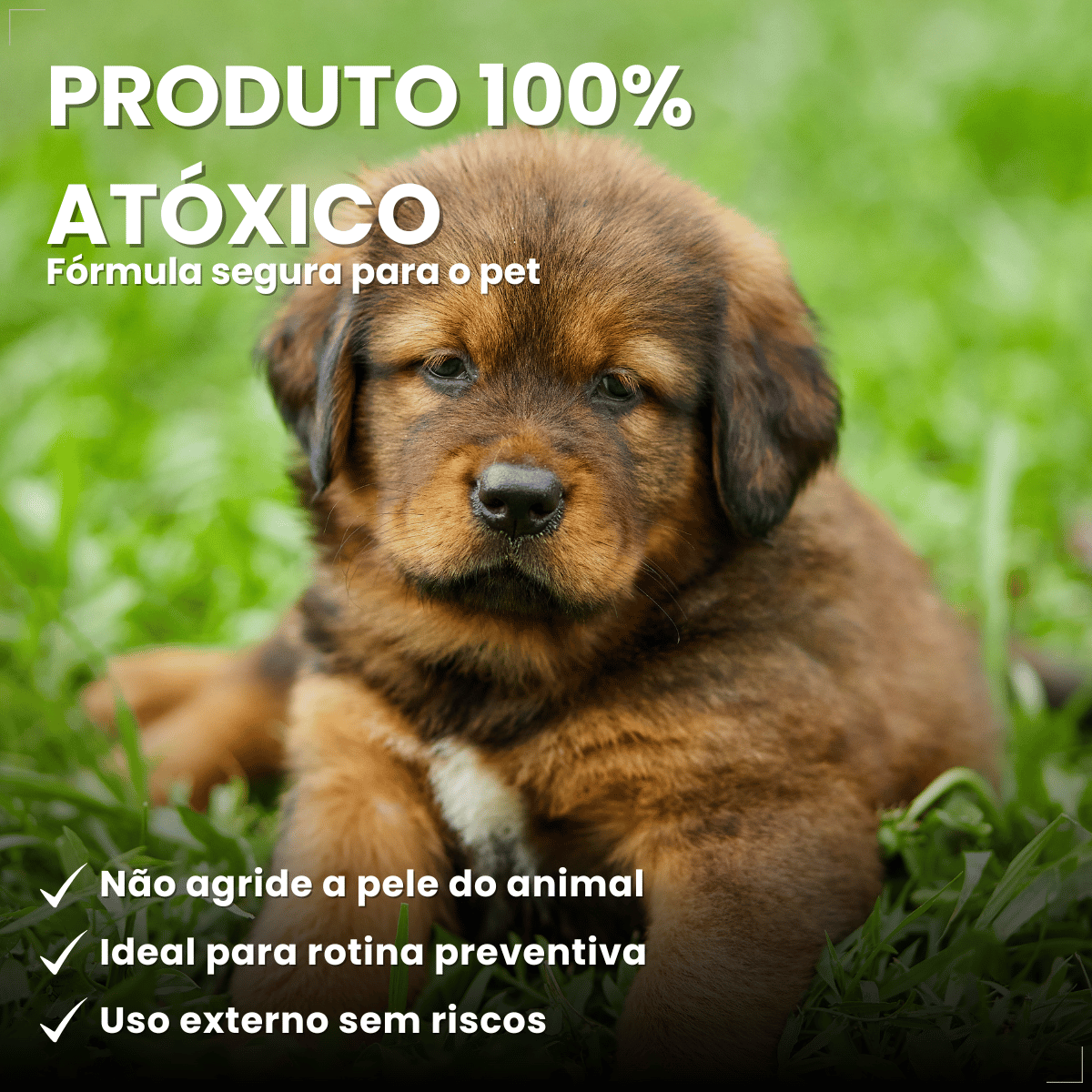 Coleira Cães Filhotes Antipulgas 36cm Free Dog