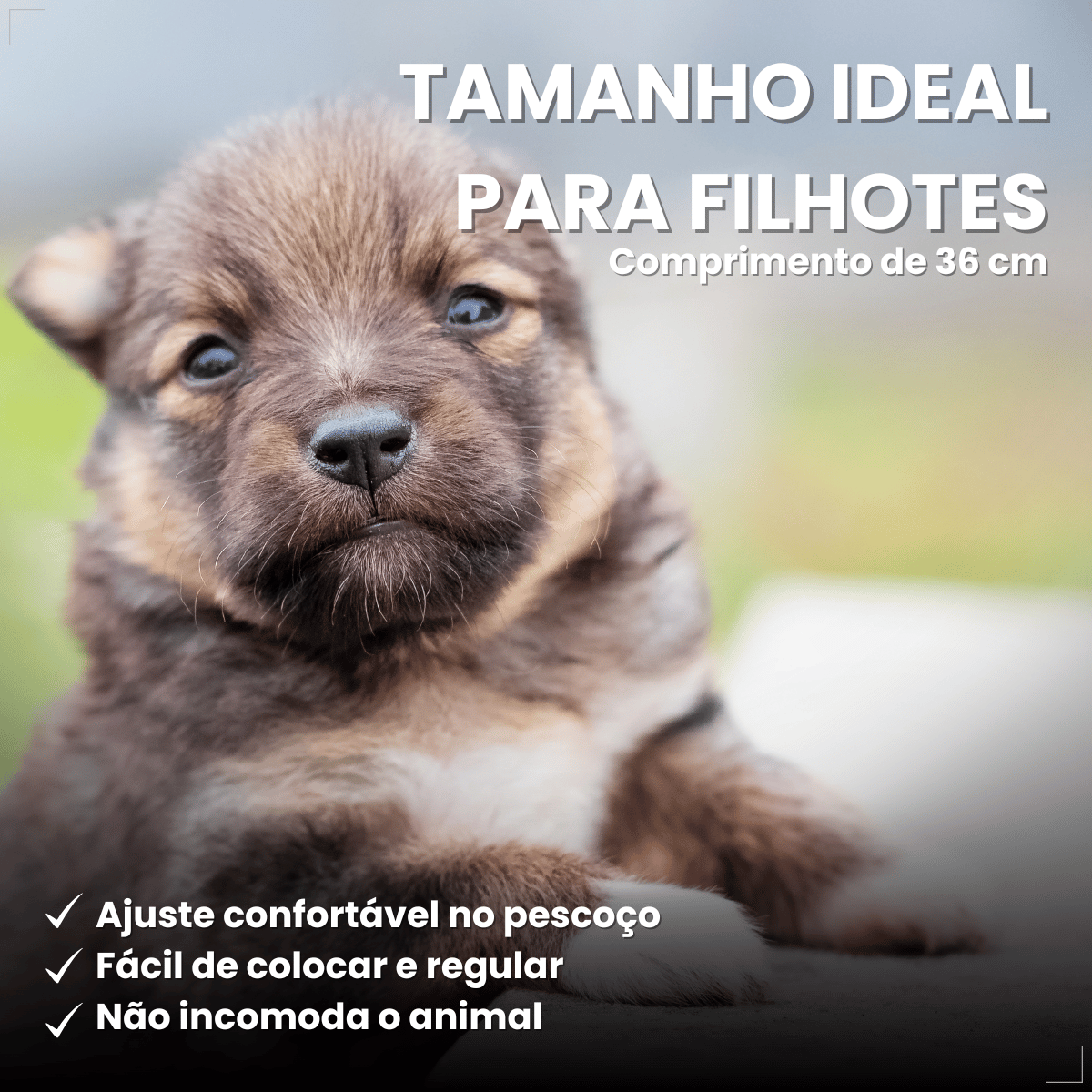 Coleira Cães Filhotes Antipulgas 36cm Free Dog