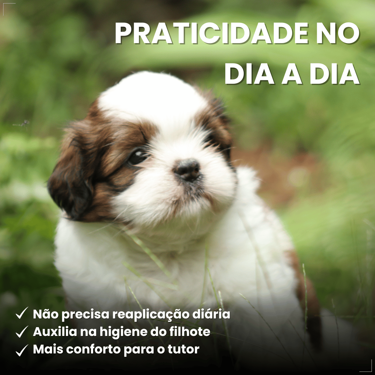 Coleira Cães Filhotes Antipulgas 36cm Free Dog