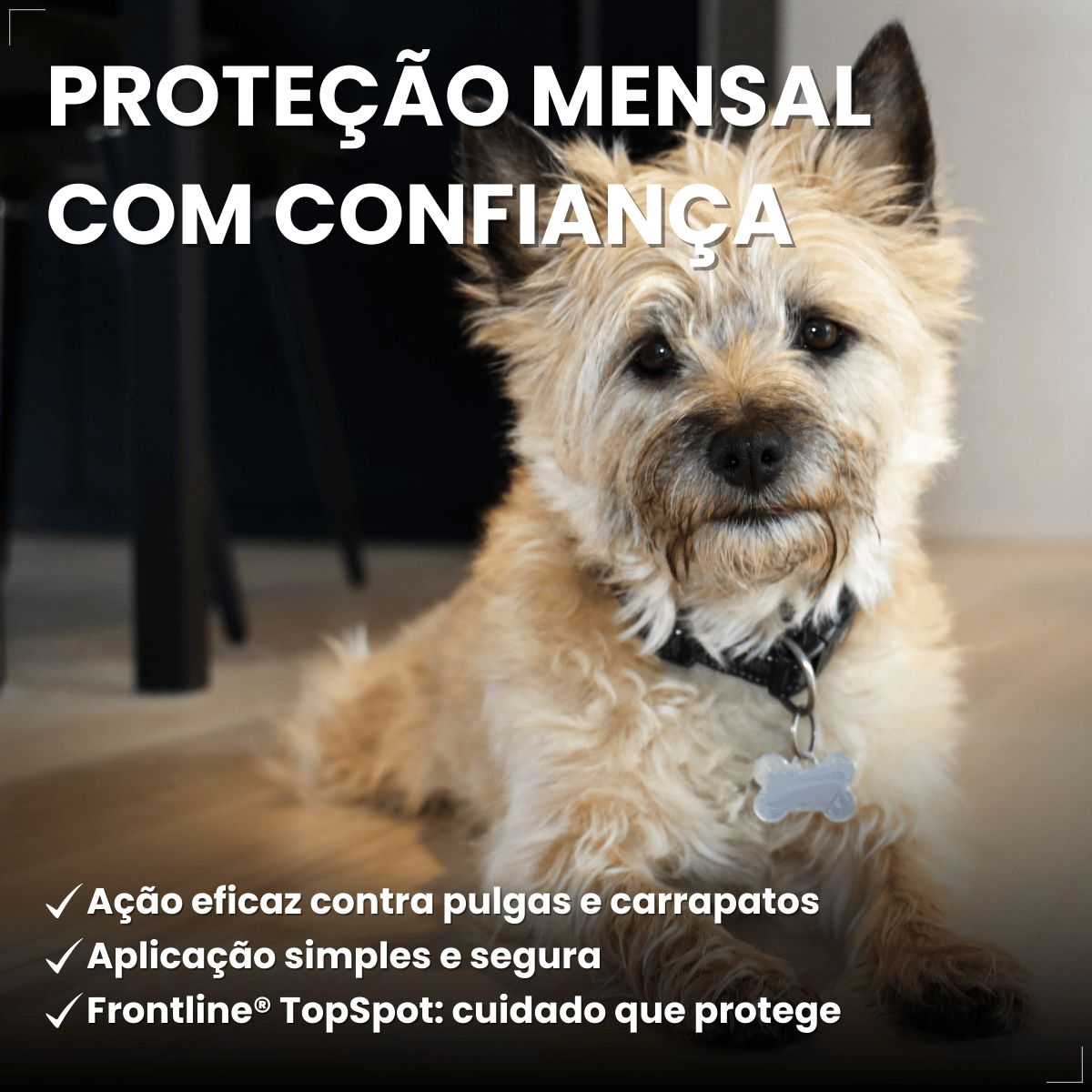 Frontline Antipulgas e Carrapatos TopSpot Cão 1 a 10 kg