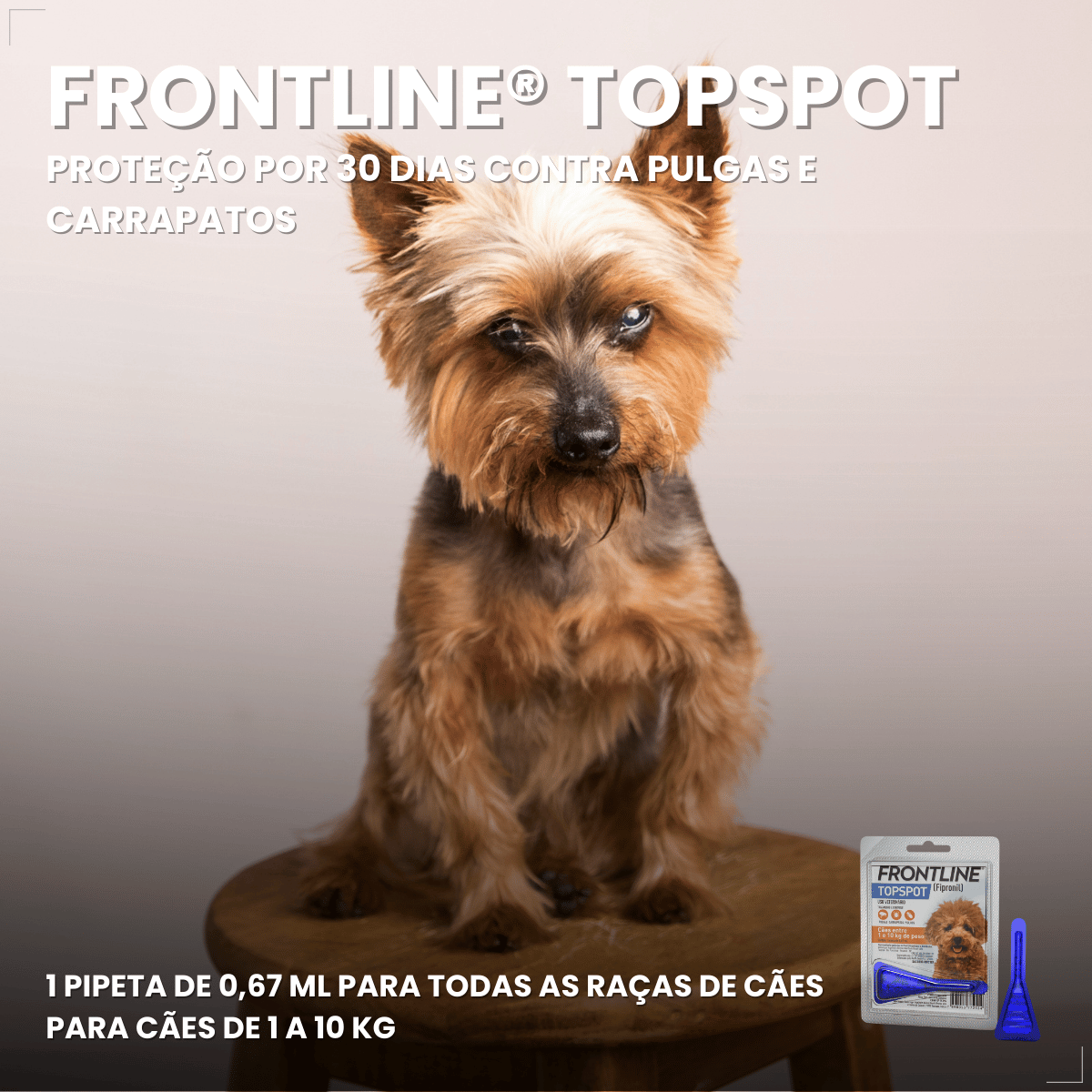 Frontline Antipulgas e Carrapatos TopSpot Cão 1 a 10 kg