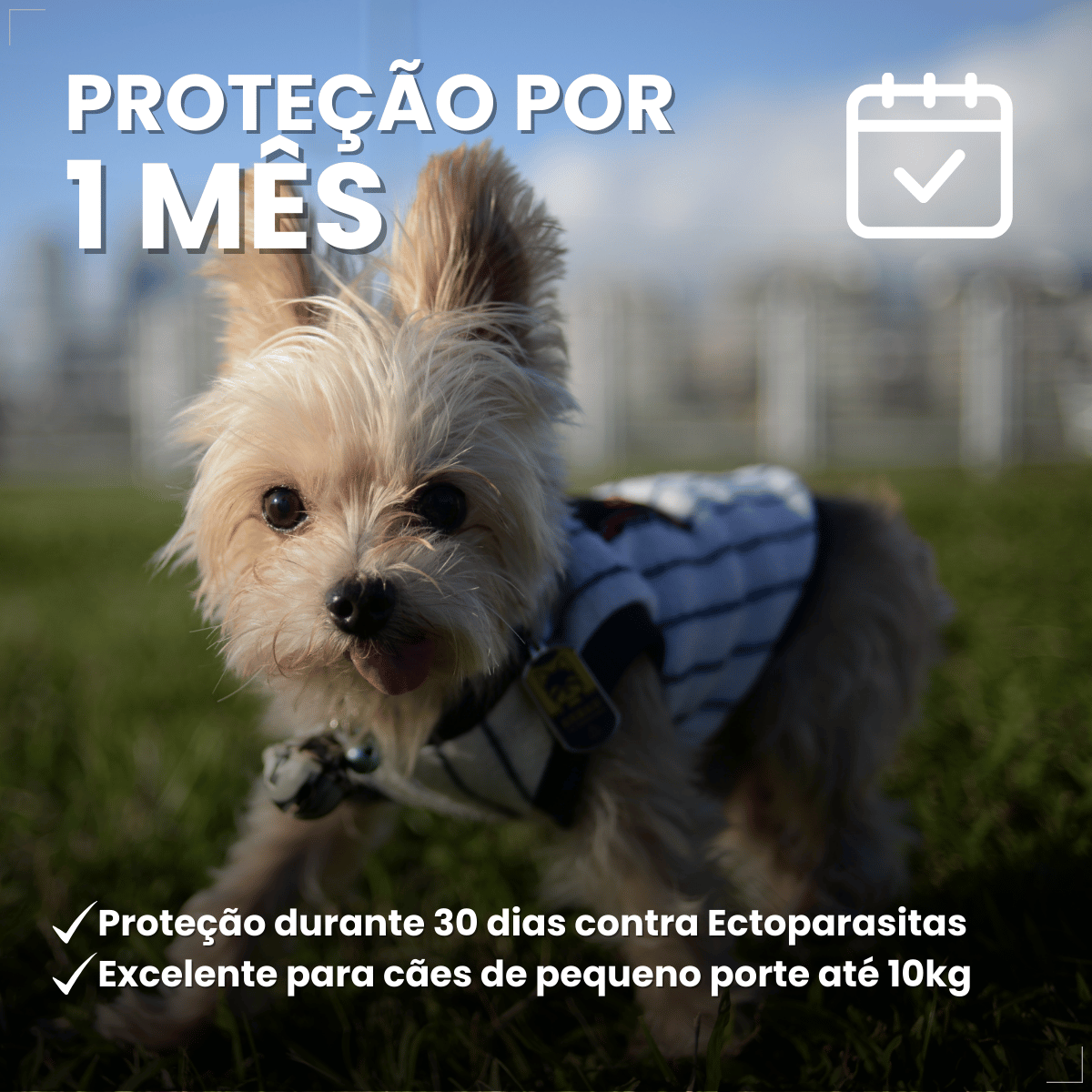 Frontline Antipulgas e Carrapatos TopSpot Cão 1 a 10 kg