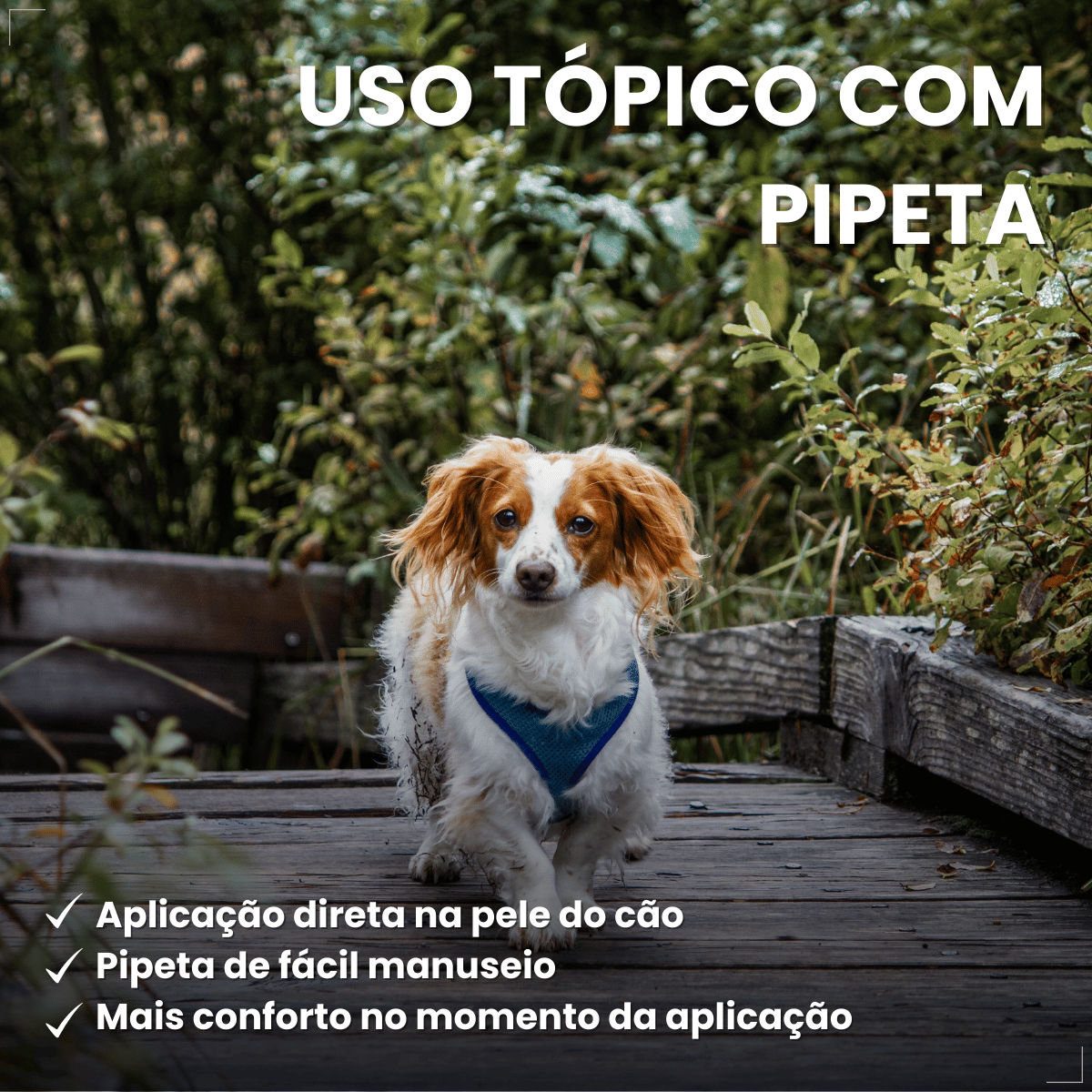 Frontline Antipulgas e Carrapatos TopSpot Cão 1 a 10 kg