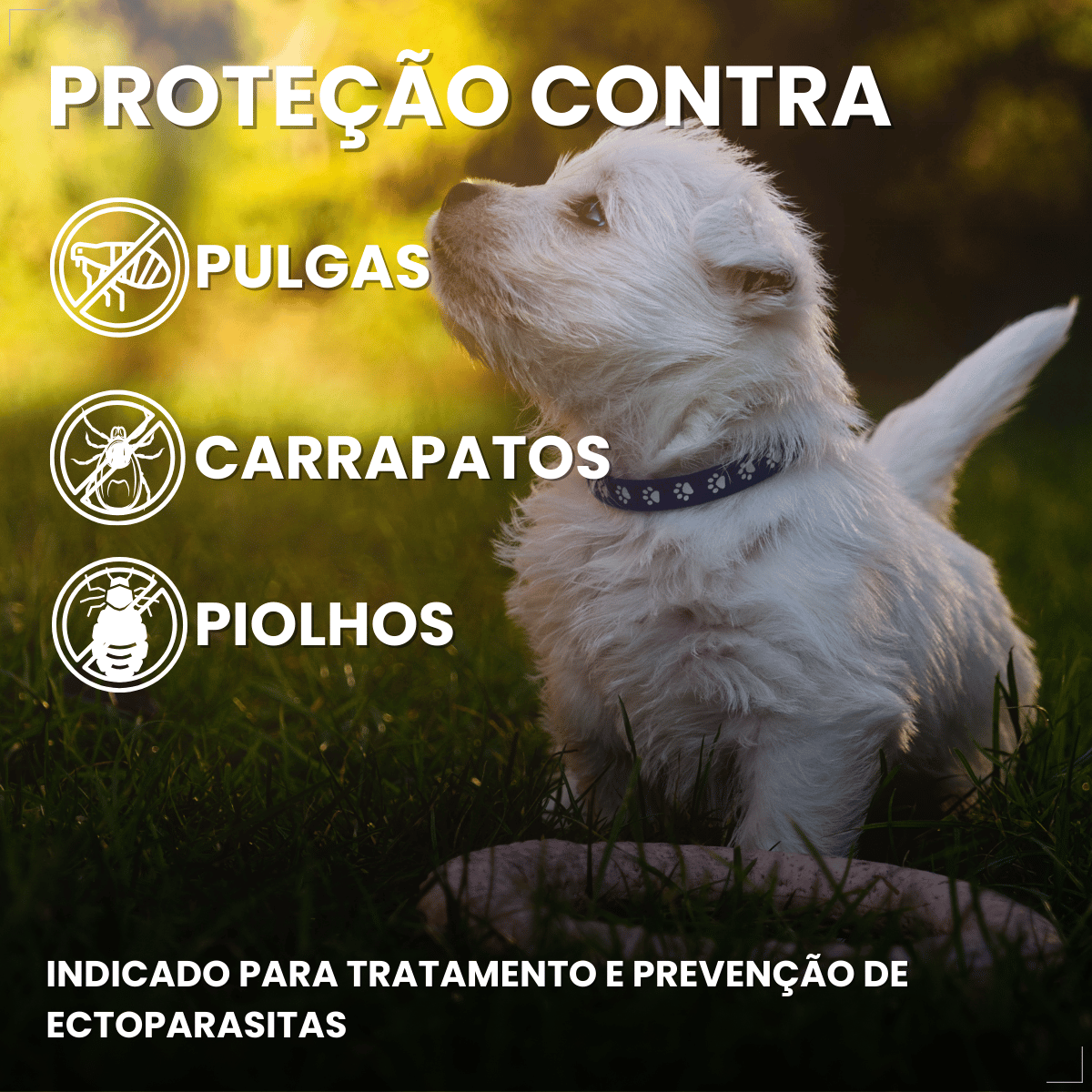 Frontline Antipulgas e Carrapatos TopSpot Cão 1 a 10 kg
