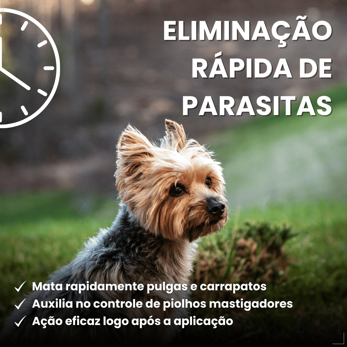 Frontline Antipulgas e Carrapatos TopSpot Cão 1 a 10 kg