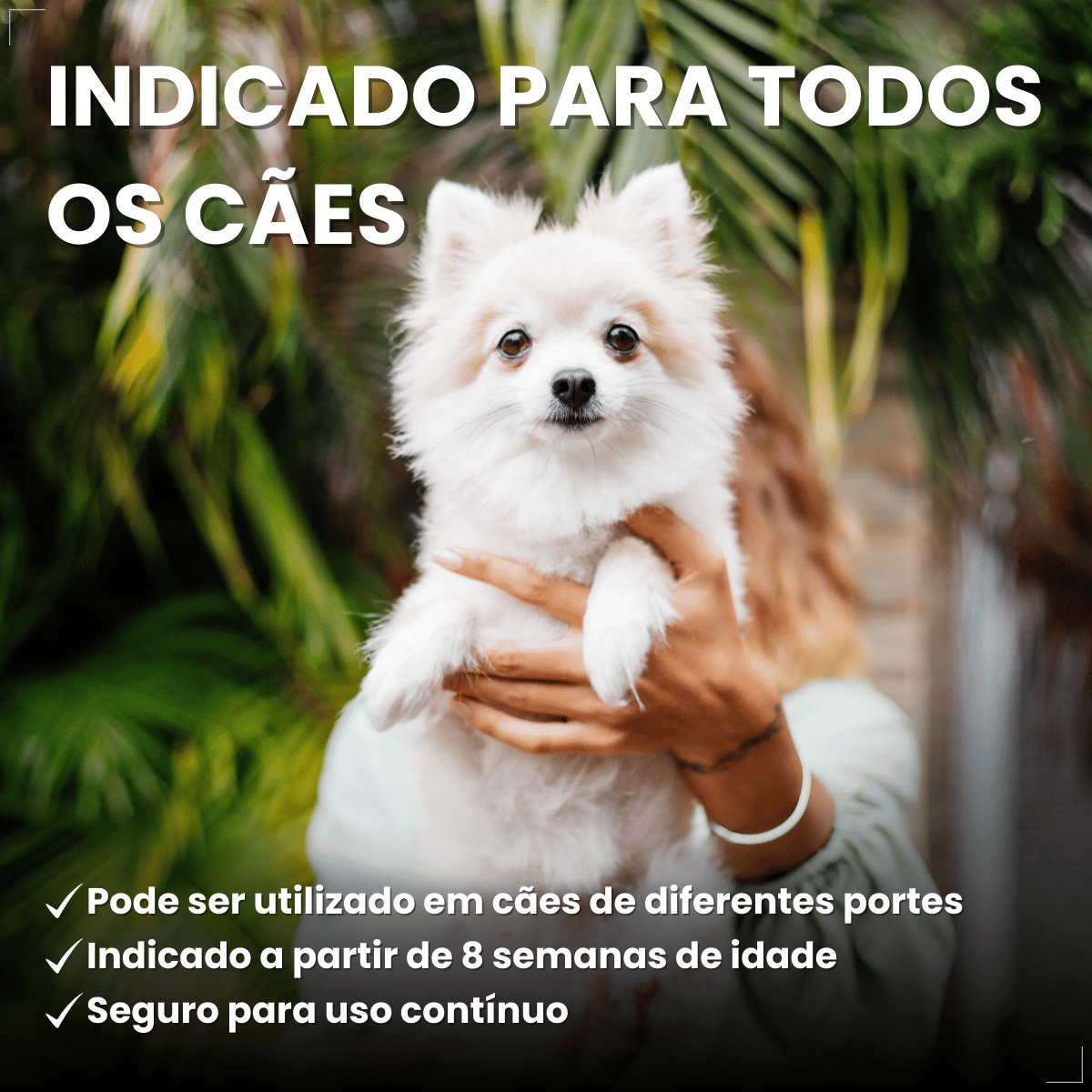 Frontline Antipulgas e Carrapatos TopSpot Cão 1 a 10 kg