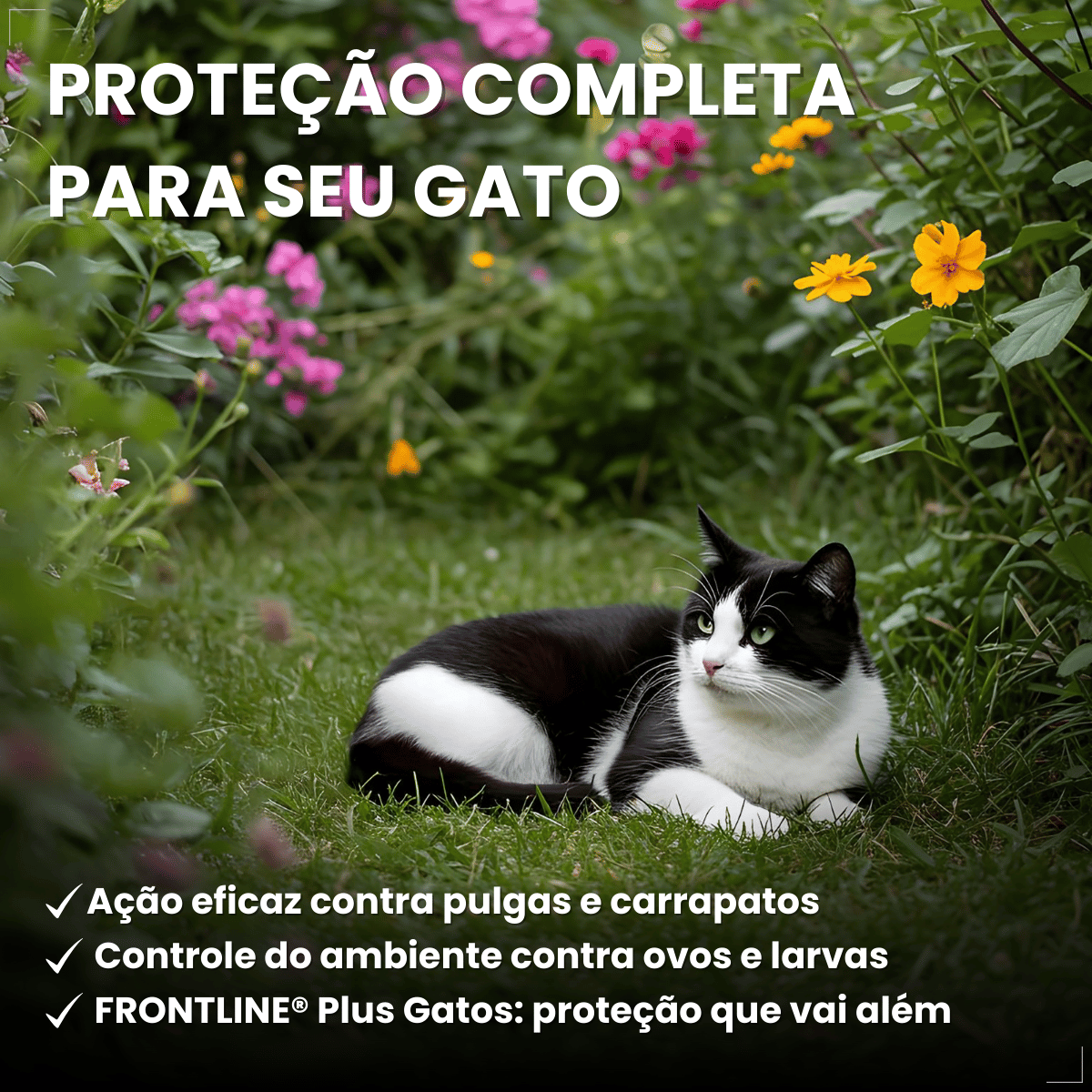 Frontline Antipulgas e Carrapatos Plus Gatos a partir de 2kg