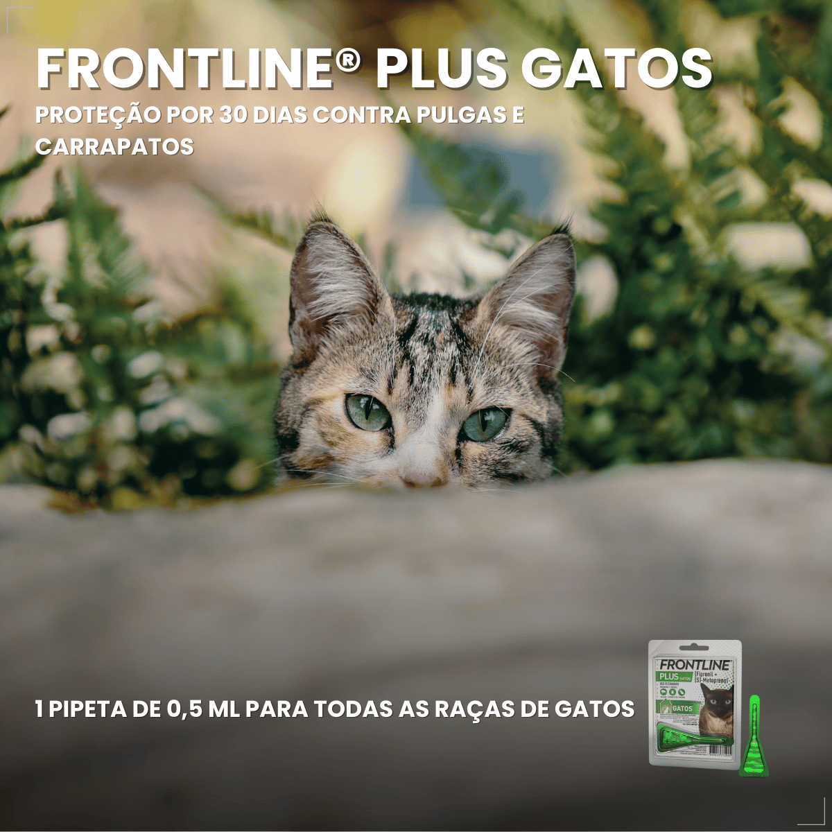 Frontline Antipulgas e Carrapatos Plus Gatos a partir de 2kg