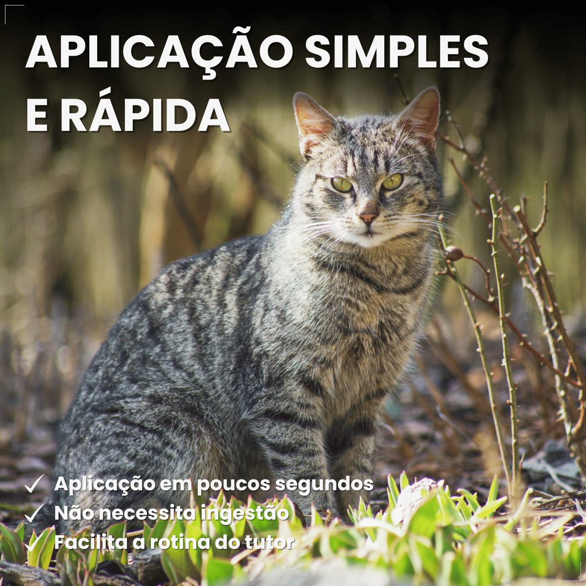 Frontline Antipulgas e Carrapatos Plus Gatos a partir de 2kg