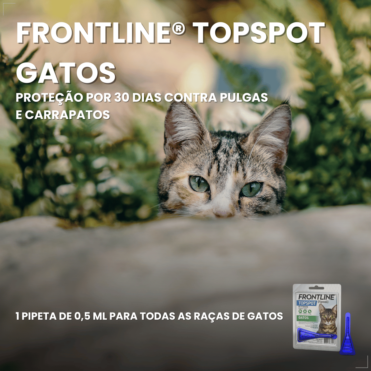 KIT 2Frontline Antipulgas e Carrapatos TopSpot Gatos a partir de 2kg