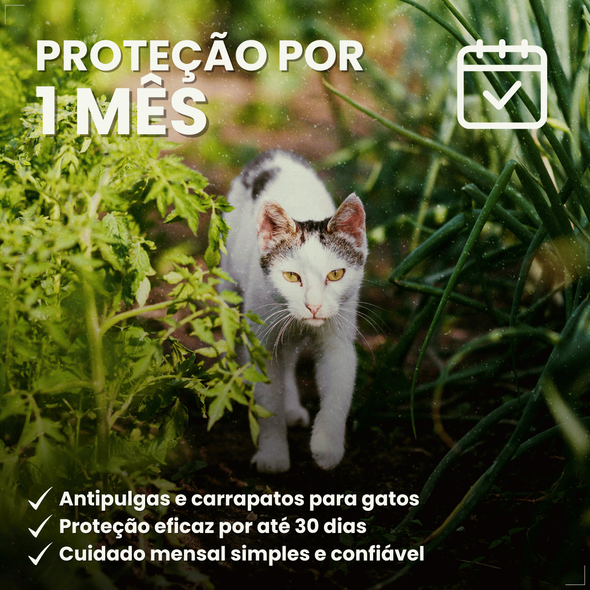 Kit 3 Frontline Antipulgas e Carrapatos TopSpot Gatos a partir de 2kg