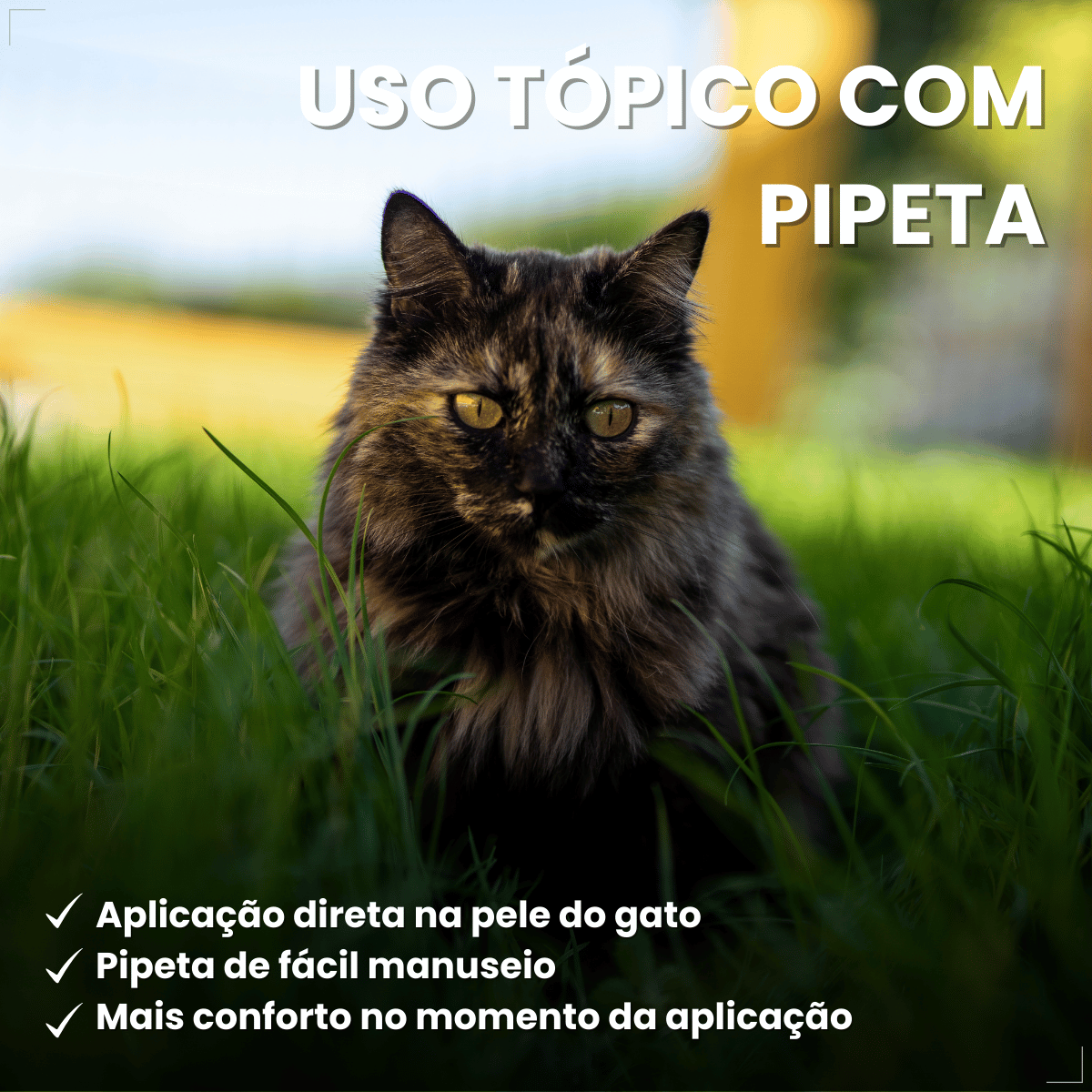 Frontline Antipulgas e Carrapatos TopSpot Gatos a partir de 2kg