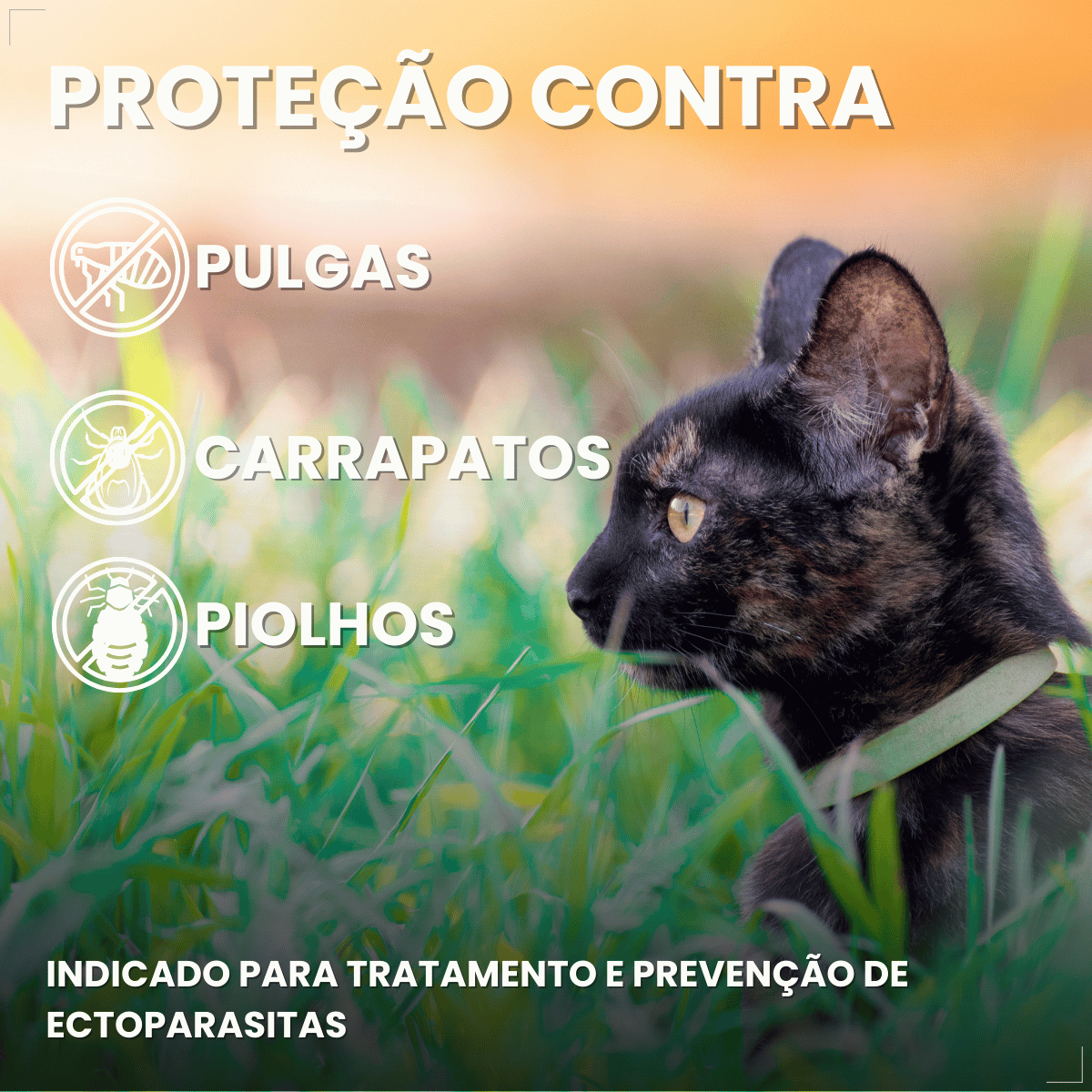 Kit 3 Frontline Antipulgas e Carrapatos TopSpot Gatos a partir de 2kg