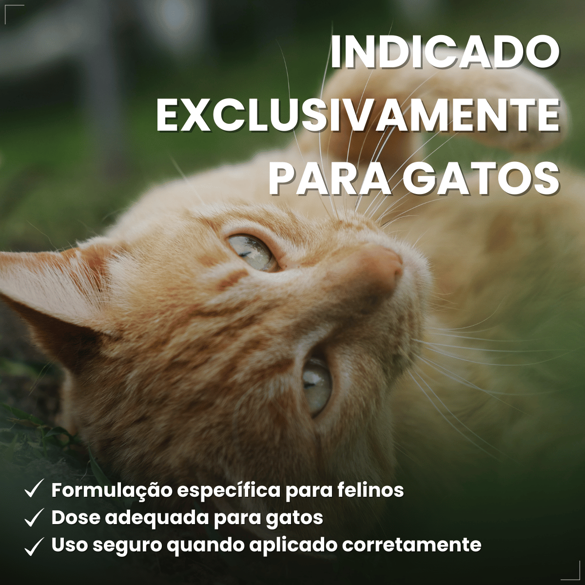Kit 3 Frontline Antipulgas e Carrapatos TopSpot Gatos a partir de 2kg