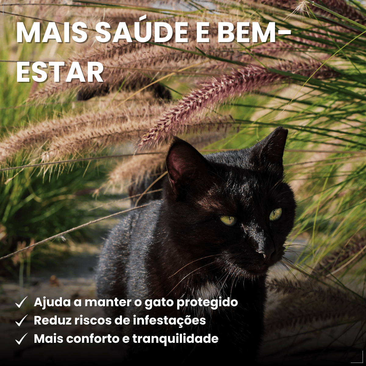 Kit 3 Frontline Antipulgas e Carrapatos TopSpot Gatos a partir de 2kg