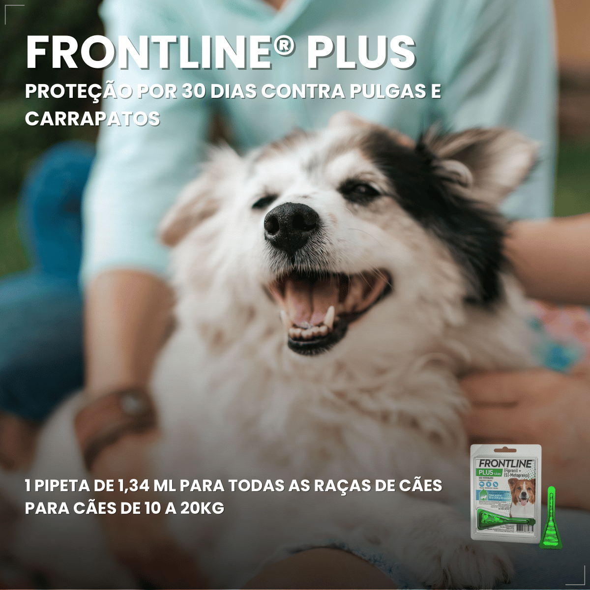 Frontline Antipulgas e Carrapatos Plus Cães 10 a 20 kg