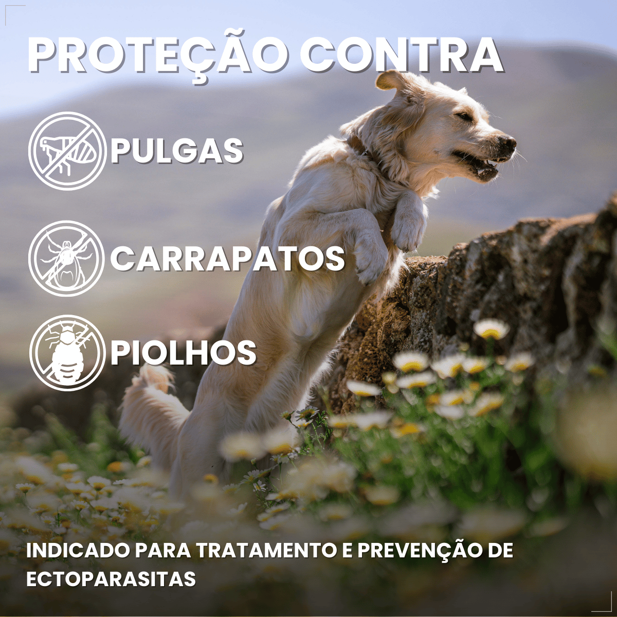 Frontline Antipulgas e Carrapatos Plus Cães 10 a 20 kg