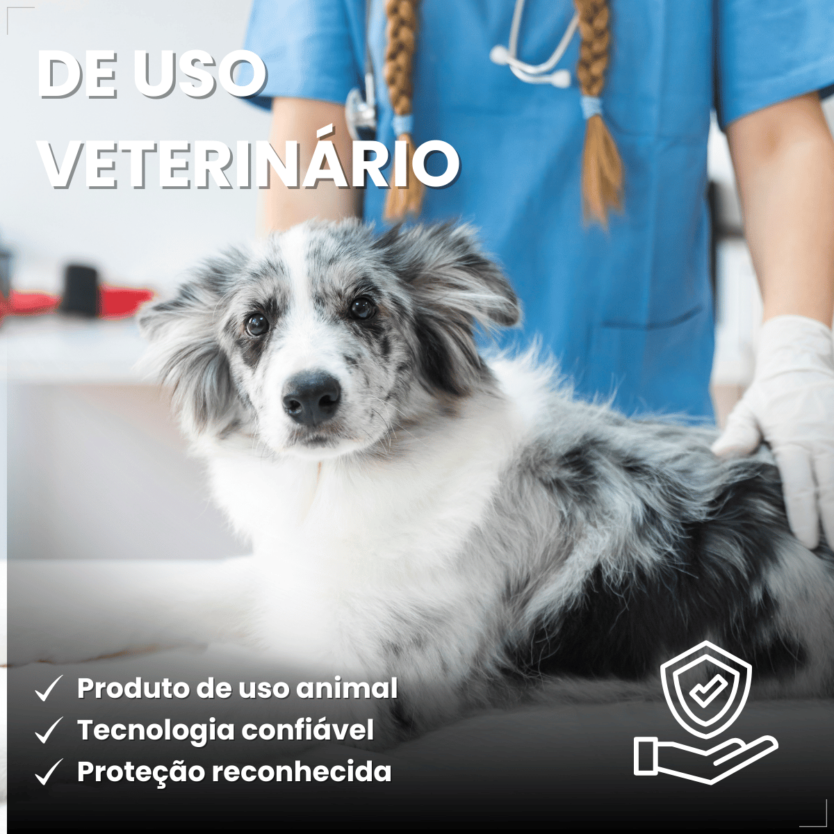 Frontline Antipulgas e Carrapatos Plus Cães 10 a 20 kg
