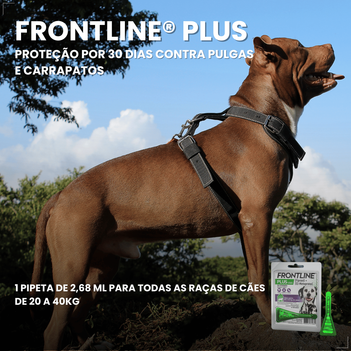 Frontline Antipulgas e Carrapatos Plus Cães 20 a 40 kg