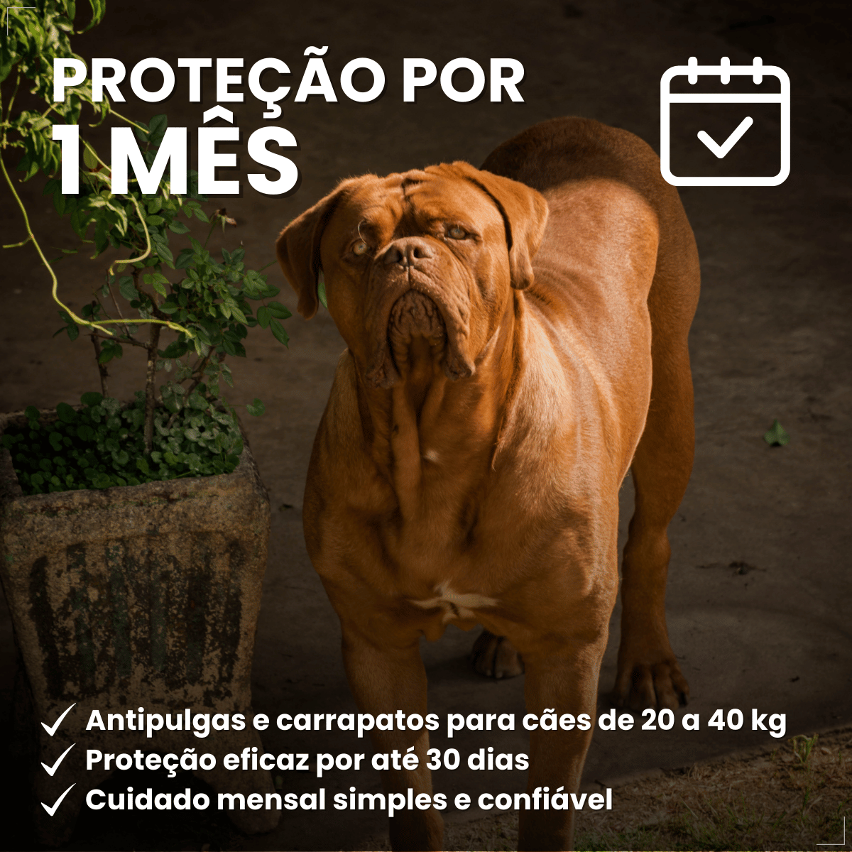 Frontline Antipulgas e Carrapatos Plus Cães 20 a 40 kg
