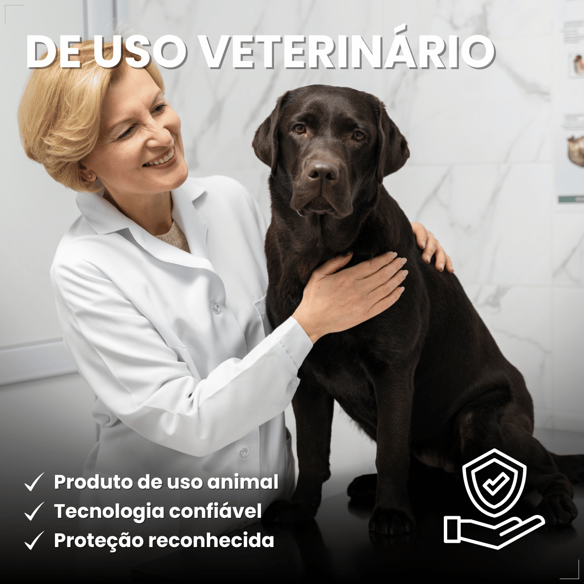 Frontline Antipulgas e Carrapatos Plus Cães 20 a 40 kg