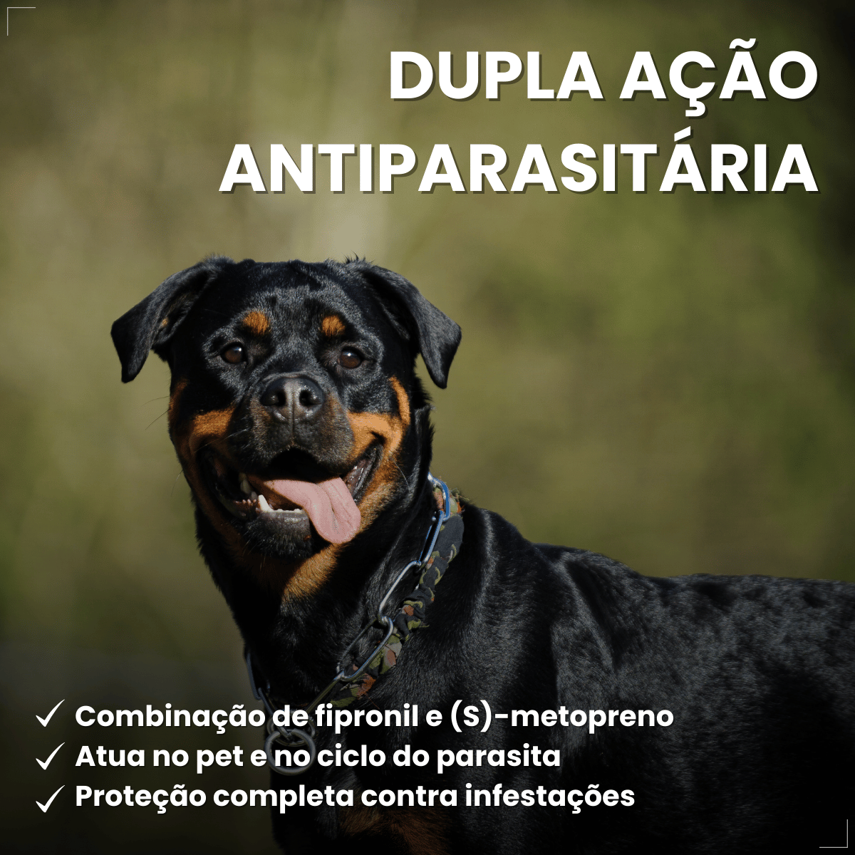 Frontline Antipulgas e Carrapatos Plus Cães 20 a 40 kg