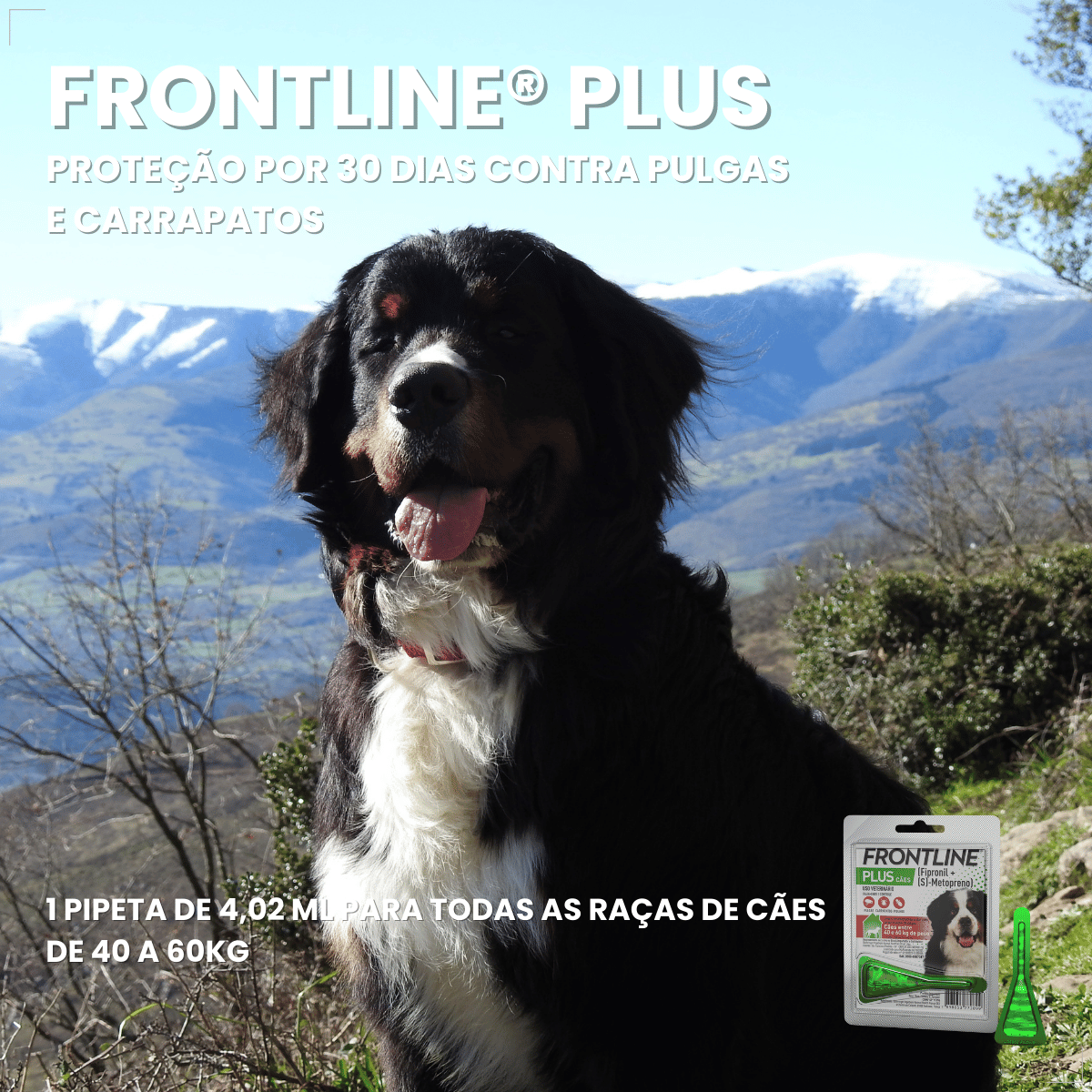 Frontline Antipulgas e Carrapatos Plus Cães 40 a 60 kg
