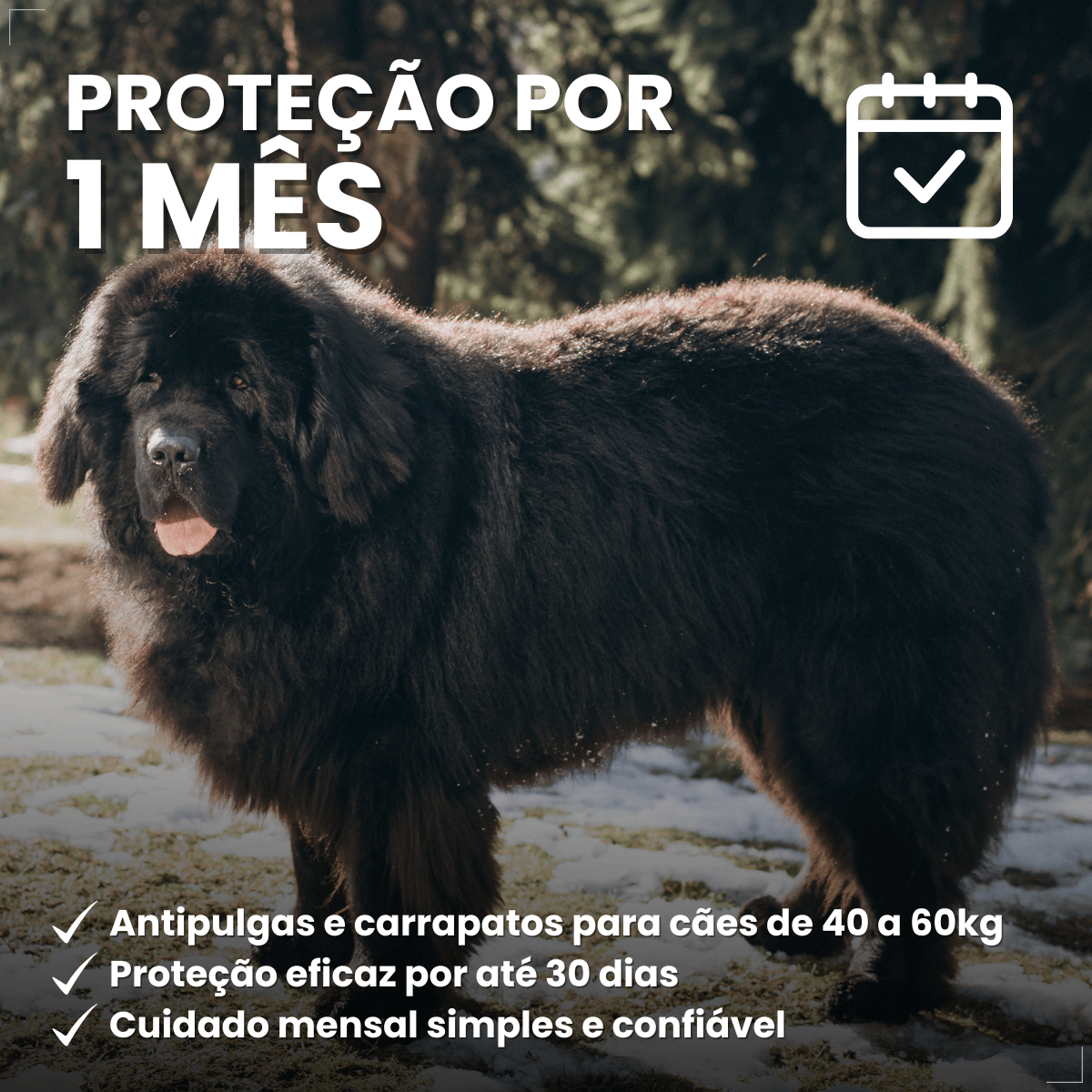 Frontline Antipulgas e Carrapatos Plus Cães 40 a 60 kg