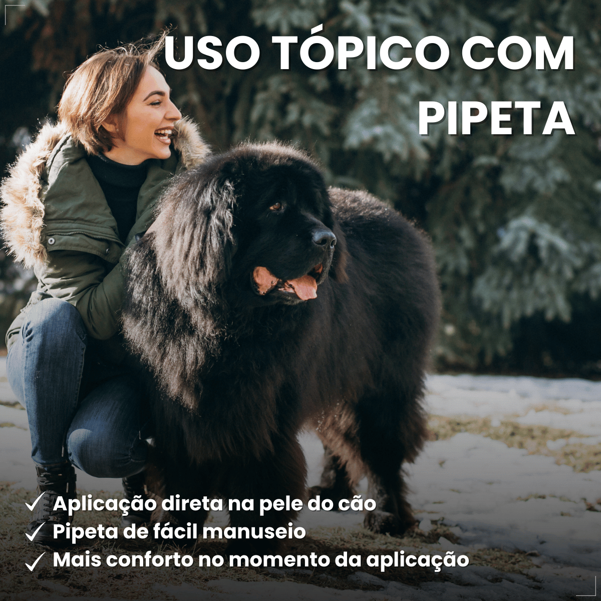 Frontline Antipulgas e Carrapatos Plus Cães 40 a 60 kg