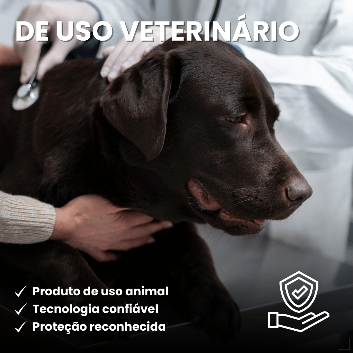 Frontline Antipulgas e Carrapatos Plus Cães 40 a 60 kg