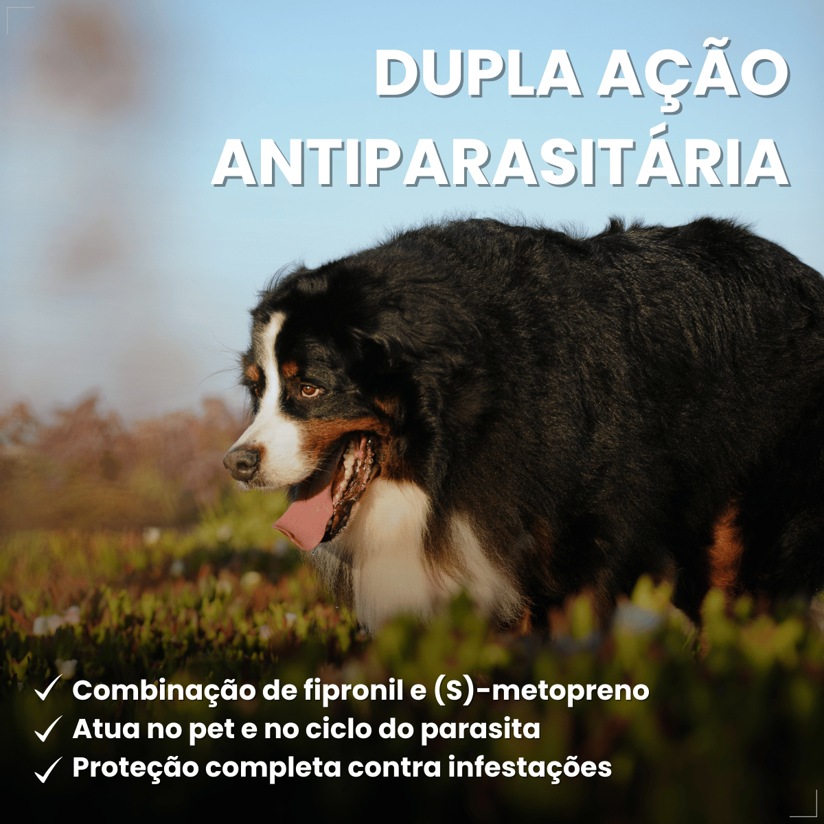 Frontline Antipulgas e Carrapatos Plus Cães 40 a 60 kg