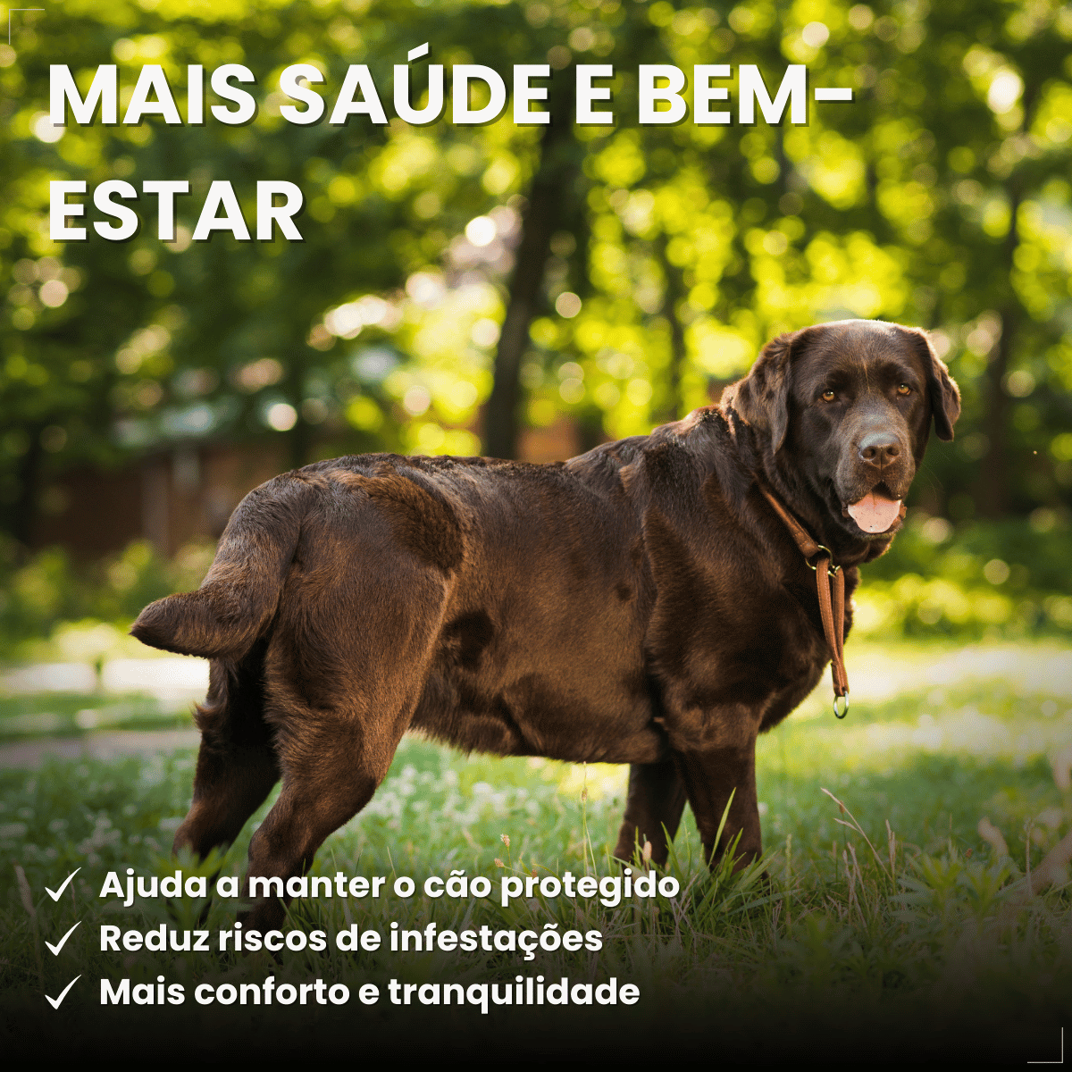 Frontline Antipulgas e Carrapatos Plus Cães 40 a 60 kg