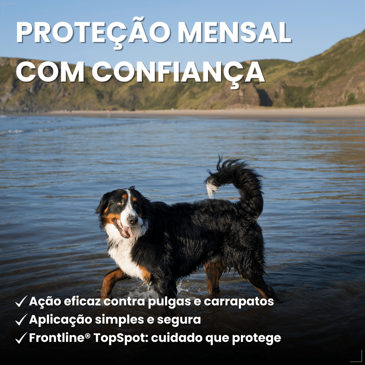 Frontline Antipulgas e Carrapatos TopSpot Cão 10 a 20 kg