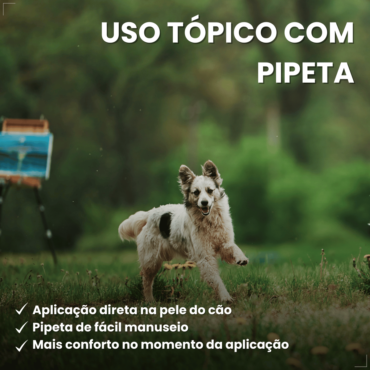 Frontline Antipulgas e Carrapatos TopSpot Cão 10 a 20 kg