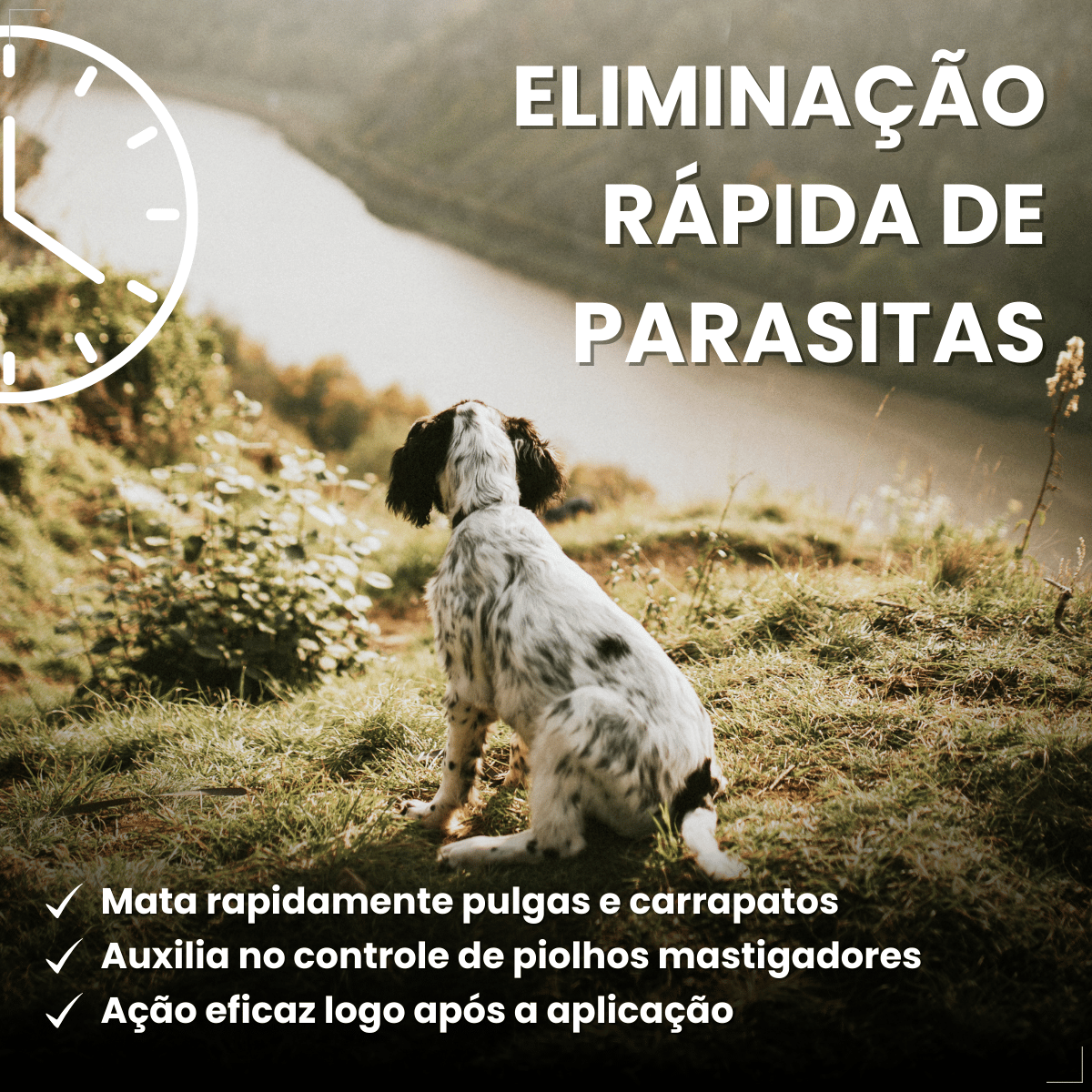 Frontline Antipulgas e Carrapatos TopSpot Cão 10 a 20 kg