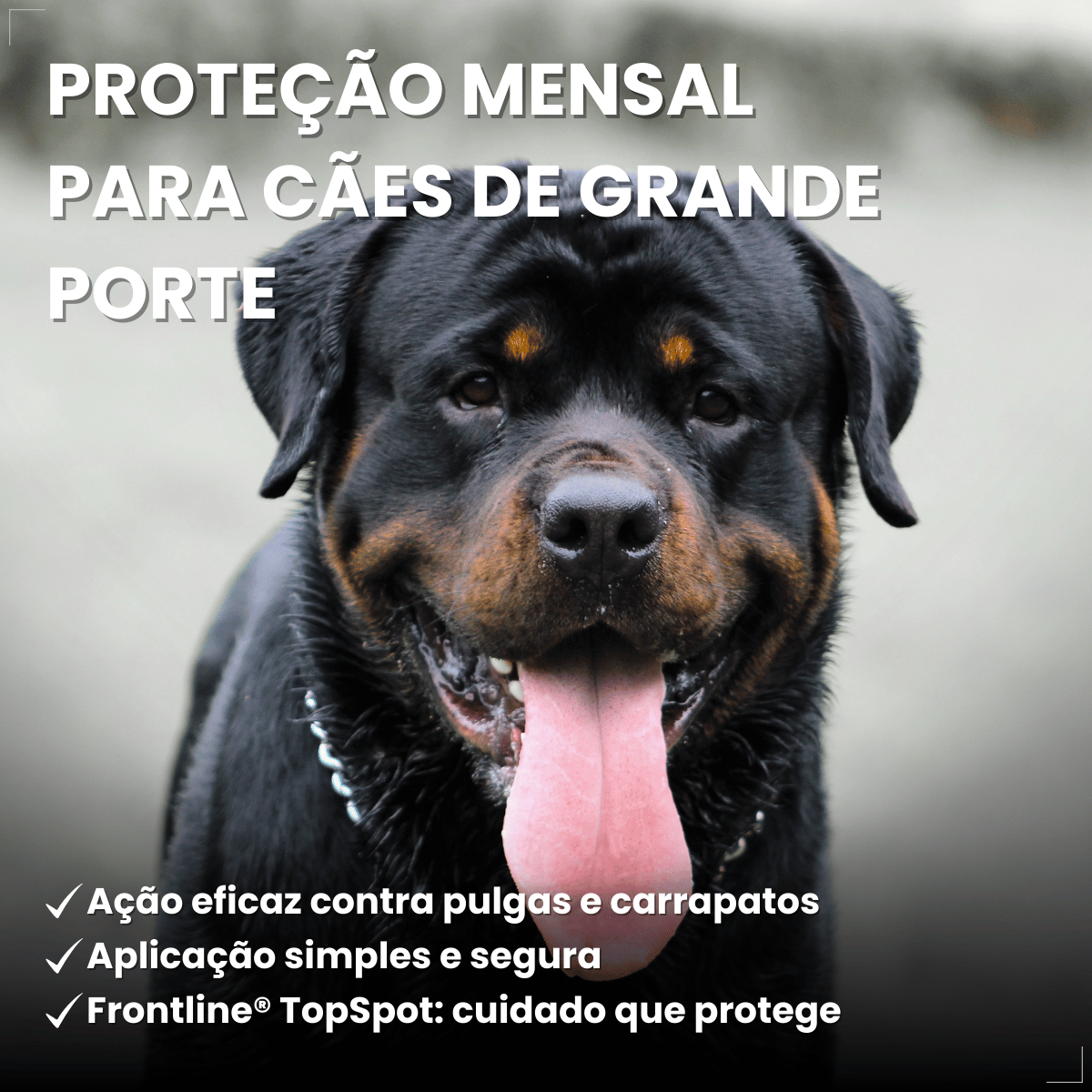 Frontline Antipulgas e Carrapatos TopSpot Cão 20 a 40 kg