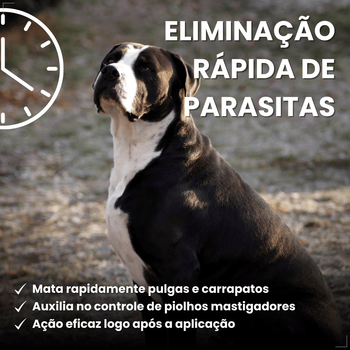 Kit 2 Frontline Antipulgas e Carrapatos TopSpot Cão 20 a 40 kg