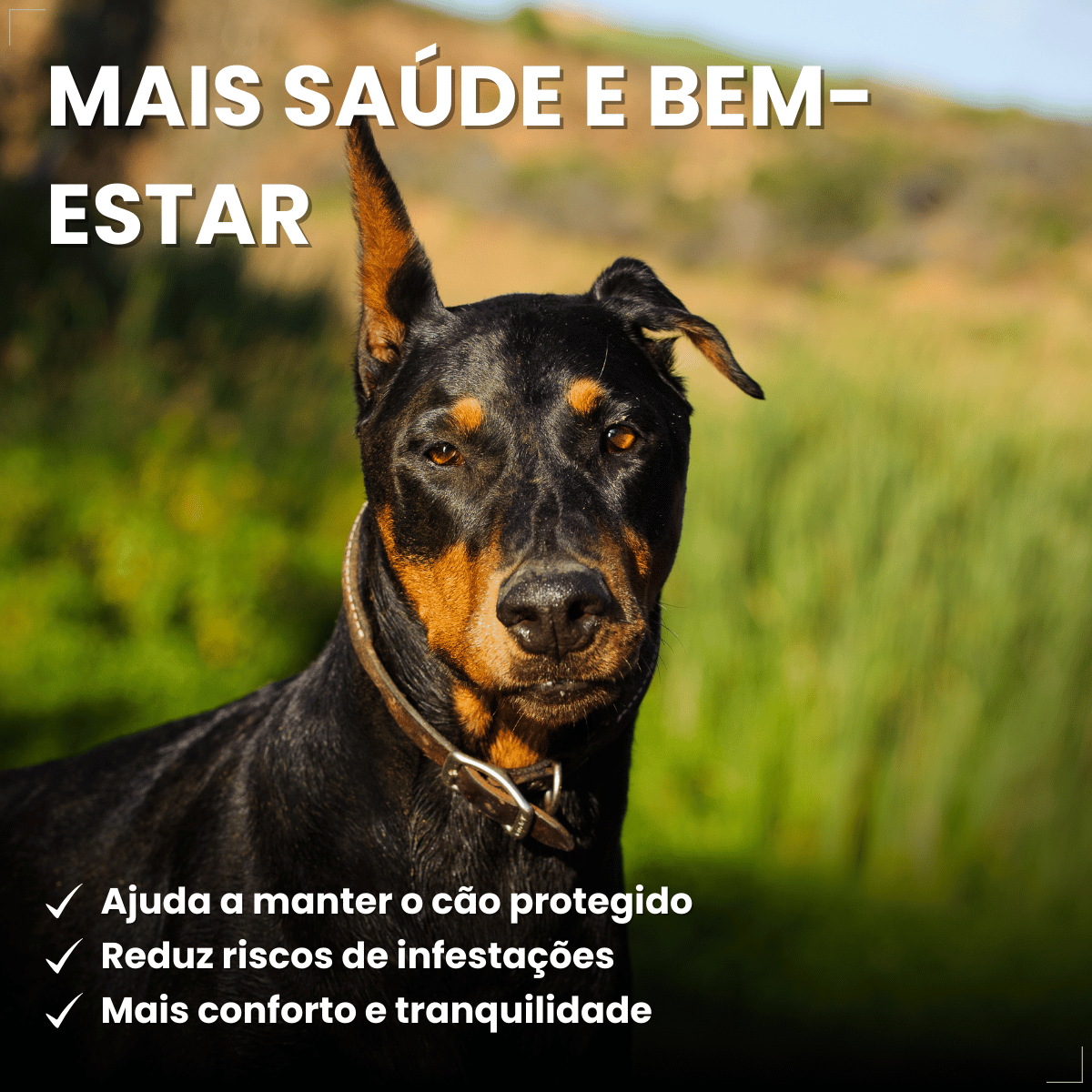 Kit 2 Frontline Antipulgas e Carrapatos TopSpot Cão 20 a 40 kg