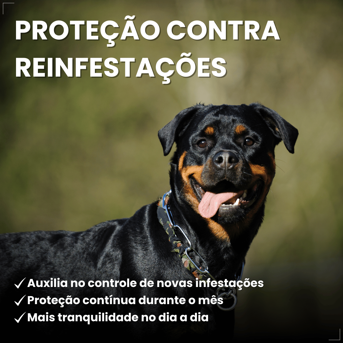 Kit 2 Frontline Antipulgas e Carrapatos TopSpot Cão 20 a 40 kg