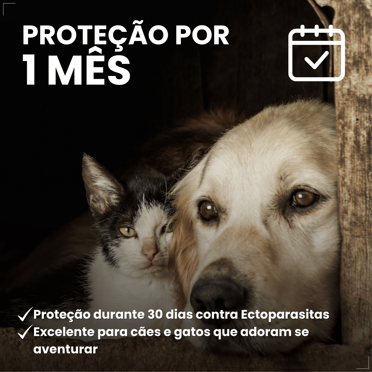 Frontline Spray Anti pulgas e Carrapatos Cães Gatos 100ml