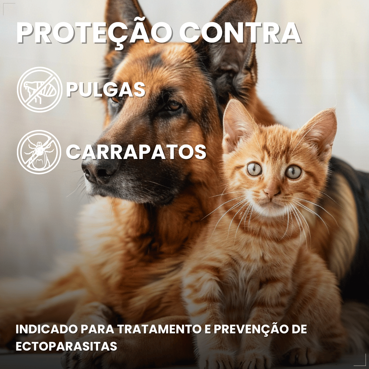 Frontline Spray Anti pulgas e Carrapatos Cães Gatos 100ml