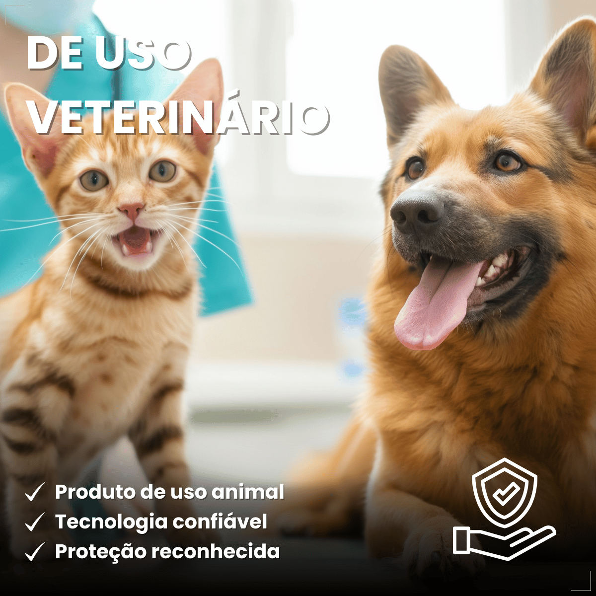 Frontline Spray Anti pulgas e Carrapatos Cães Gatos 100ml