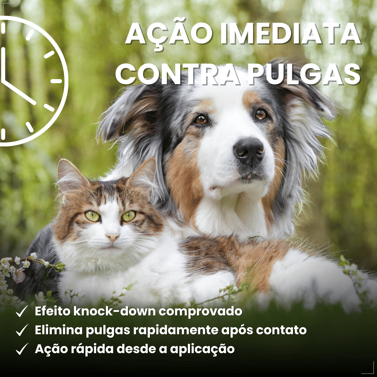 Frontline Spray Anti pulgas e Carrapatos Cães Gatos 100ml