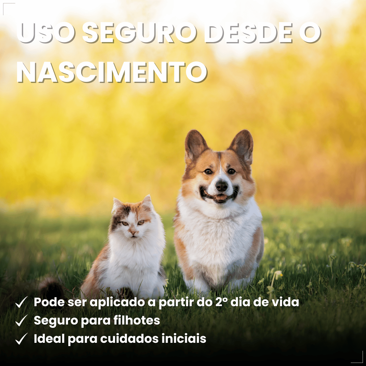 Frontline Spray Anti pulgas e Carrapatos Cães Gatos 100ml