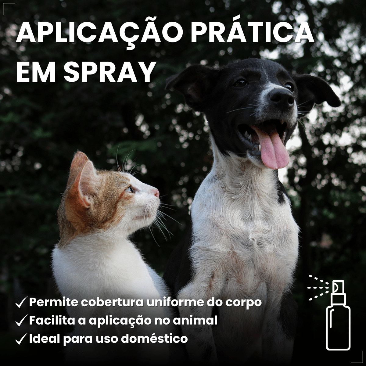 Frontline Spray Anti pulgas e Carrapatos Cães Gatos 100ml